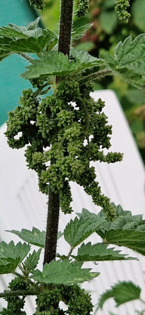 20240708 143458