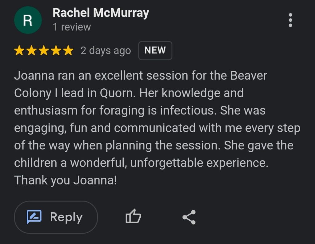 Rachel 5stars review