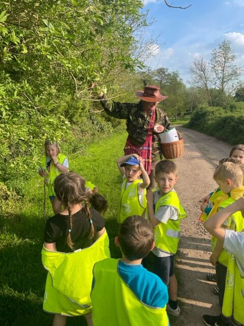 foraging with beaver colony 9 rotated