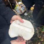 IMG 20251030 WA0035